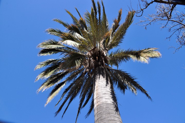 parque nacional La Campana