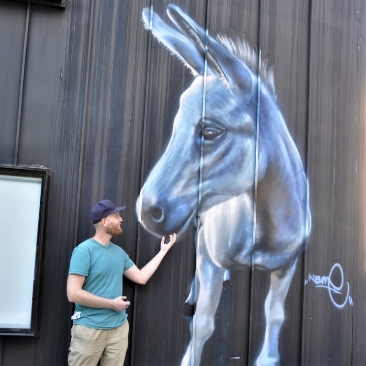 Streetart donkey - our donkey FLORA