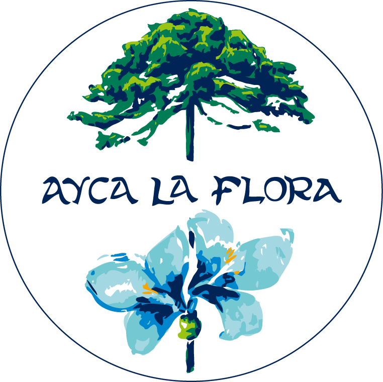 Hotel AYCA LA FLORA Valparaíso, Chile